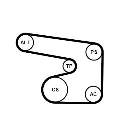 Conjunto de cintos com nervuras em V Continental CTAM 6PK1900K1