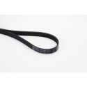 Correia poli V CONTINENTAL CTAM 6PK2000