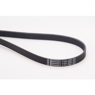 Correia em V CONTINENTAL CTAM V-poli 6PK2260