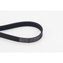 Correia em V CONTINENTAL CTAM V-poli 6PK976