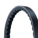 Correia em V CONTINENTAL CTAM AVX13X650
