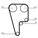 Correia dentada CONTINENTAL CTAM CT1006