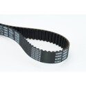 Correia dentada CONTINENTAL CTAM CT1008