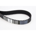 Correia dentada CONTINENTAL CTAM CT1010