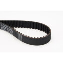 Correia dentada CONTINENTAL CTAM CT1014