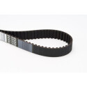 Correia dentada CONTINENTAL CTAM CT1025