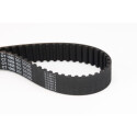 Correia dentada CONTINENTAL CTAM CT1055