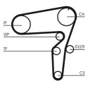 Correia dentada CONTINENTAL CTAM CT1076