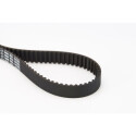 Correia dentada CONTINENTAL CTAM CT1088