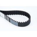 Correia dentada CONTINENTAL CTAM CT1089
