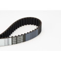 Correia dentada CONTINENTAL CTAM CT1092