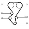 Conjunto de correias dentadas CONTINENTAL CTAM CT1092K2