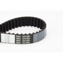 Correia dentada CONTINENTAL CTAM CT1100