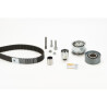 Conjunto de correias dentadas CONTINENTAL CTAM CT1134K1