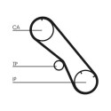 Correia dentada CONTINENTAL CTAM CT1153