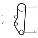 Correia dentada CONTINENTAL CTAM CT525