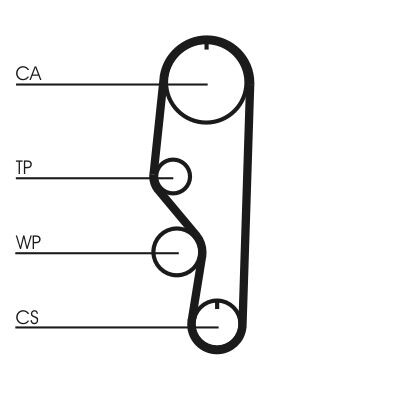 Correia dentada CONTINENTAL CTAM CT557