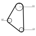 Correia dentada CONTINENTAL CTAM CT558