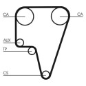 Correia dentada CONTINENTAL CTAM CT575