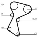 Correia dentada CONTINENTAL CTAM CT604