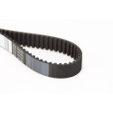 Correia dentada CONTINENTAL CTAM CT619