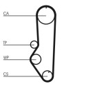 Correia dentada CONTINENTAL CTAM CT688