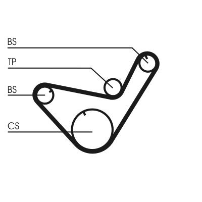 Correia dentada CONTINENTAL CTAM CT714