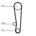 Correia dentada CONTINENTAL CTAM CT715