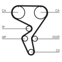 Correia dentada CONTINENTAL CTAM CT724