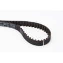 Correia dentada CONTINENTAL CTAM CT744