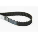 Correia dentada CONTINENTAL CTAM CT748