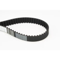Correia dentada CONTINENTAL CTAM CT759