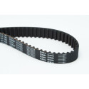 Correia dentada CONTINENTAL CTAM CT781