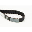 Correia dentada CONTINENTAL CTAM CT791