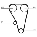 Correia dentada CONTINENTAL CTAM CT803