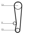 Correia dentada CONTINENTAL CTAM CT808