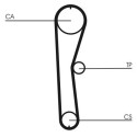 Correia dentada CONTINENTAL CTAM CT824