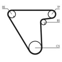 Correia dentada CONTINENTAL CTAM CT833
