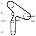 Correia dentada CONTINENTAL CTAM CT853