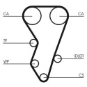 Correia dentada CONTINENTAL CTAM CT864