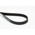 Correia dentada CONTINENTAL CTAM CT873