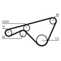 Correia dentada CONTINENTAL CTAM CT925