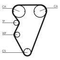 Correia dentada CONTINENTAL CTAM CT929