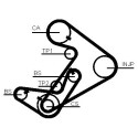 Correia dentada CONTINENTAL CTAM CT938