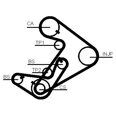 Correia dentada CONTINENTAL CTAM CT938