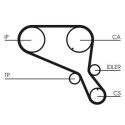 Correia dentada CONTINENTAL CTAM CT952