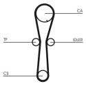Correia dentada CONTINENTAL CTAM CT954