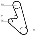 Correia dentada CONTINENTAL CTAM CT959