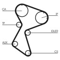Correia dentada CONTINENTAL CTAM CT966