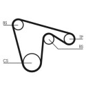 Correia dentada CONTINENTAL CTAM CT970